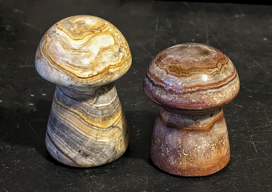 Aragonite Mushroom Carving