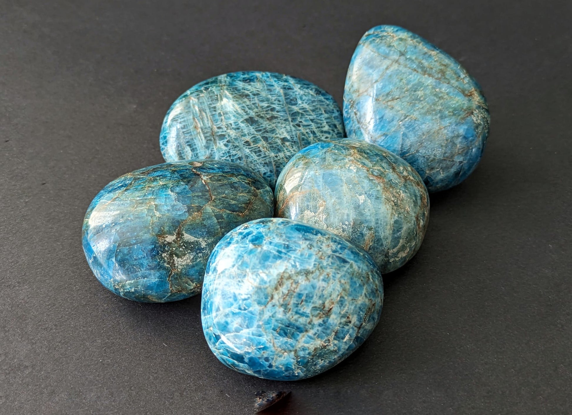 Apatite Palmstone